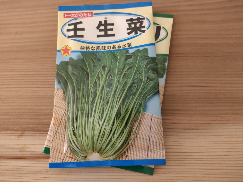 壬生菜のタネ